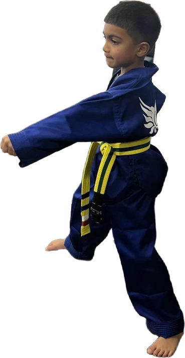 Kids martial arts student